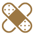 ico1
